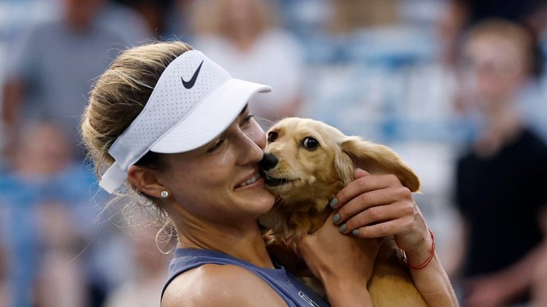 Tennis star Anna Kalinskaya's dog rushes court after pro wins match