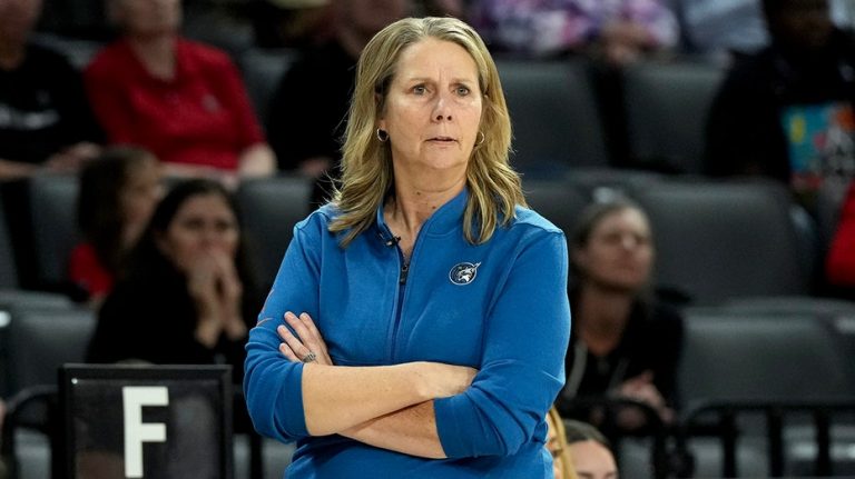 Minnesota Lynx head coach Cheryl Reeve rips ‘sexualization of women’ as lewd WNBA disruptions continue
