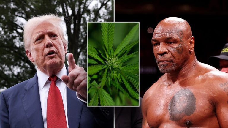 Mike Tyson says whether he fights again depends on federal marijuana legalization and rescheduling