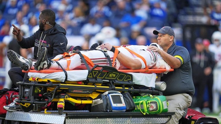 Cardinals' Travis Vokolek leaves game on stretcher after scary neck injury