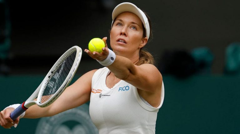 American tennis star raises eyebrows with dating profile: 'Hopefully pop out some babies soon'