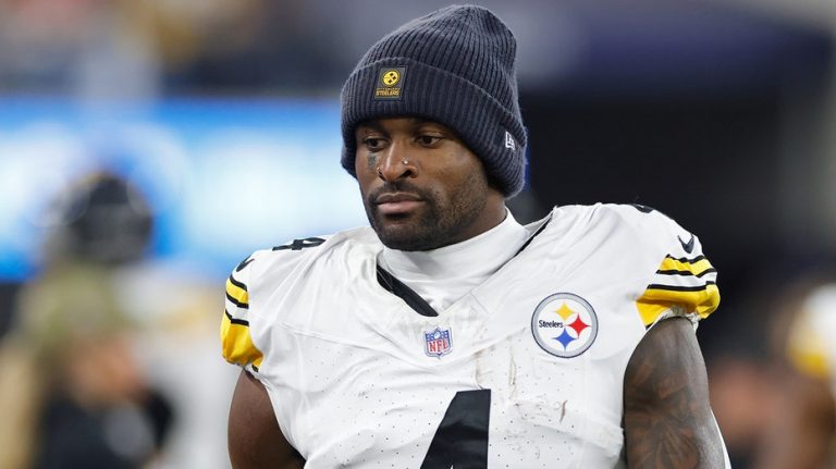 Lions fan involved in altercation with Steelers star denies using racial slurs