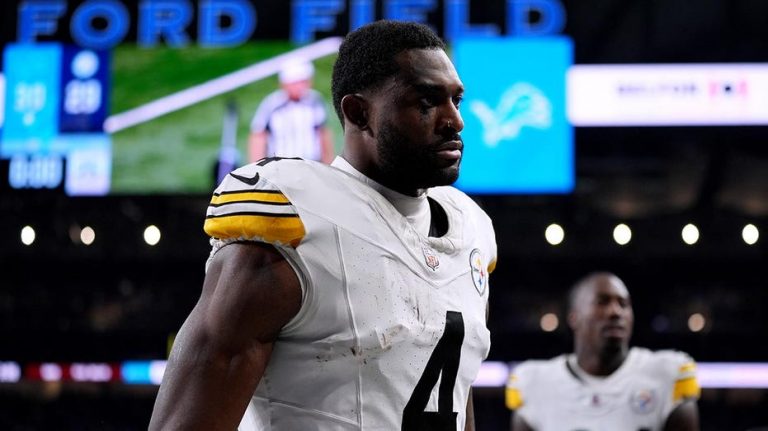 Steelers coach Mike Tomlin shows support for star who took swing at Lions fan